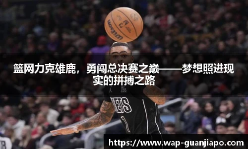 篮网力克雄鹿,勇闯总决赛之巅——梦想照进现实的拼搏之路