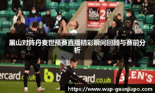 黑山对阵丹麦世预赛直播精彩瞬间回顾与赛前分析