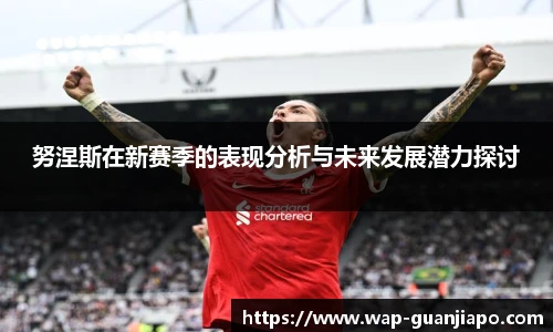 努涅斯在新赛季的表现分析与未来发展潜力探讨